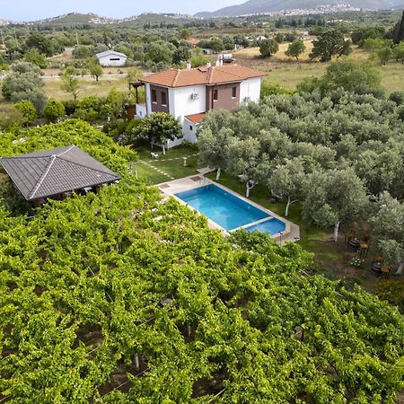فندق Grape Datca Kızlanköy المظهر الخارجي الصورة