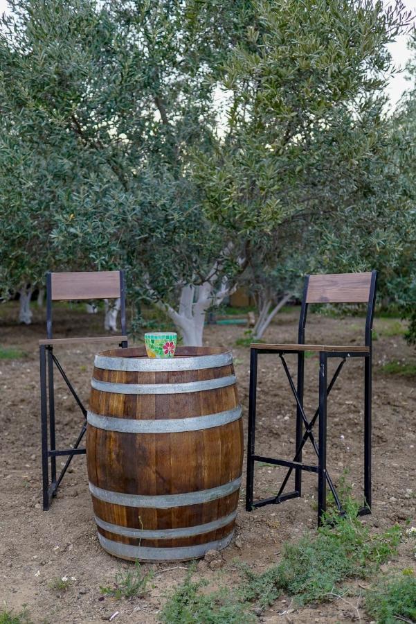 فندق Grape Datca Kızlanköy المظهر الخارجي الصورة