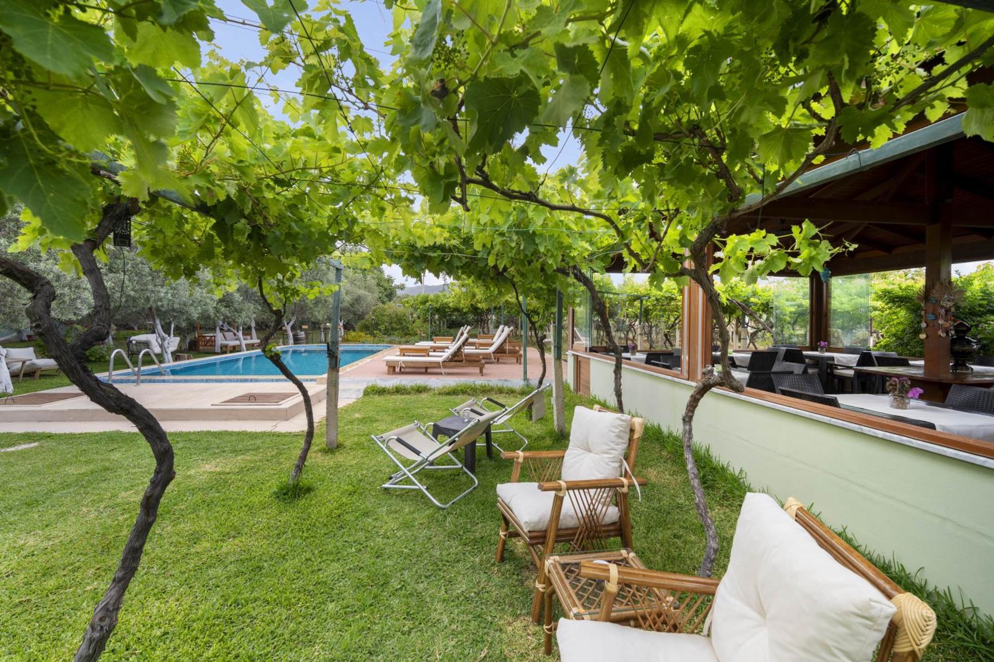 فندق Grape Datca Kızlanköy المظهر الخارجي الصورة